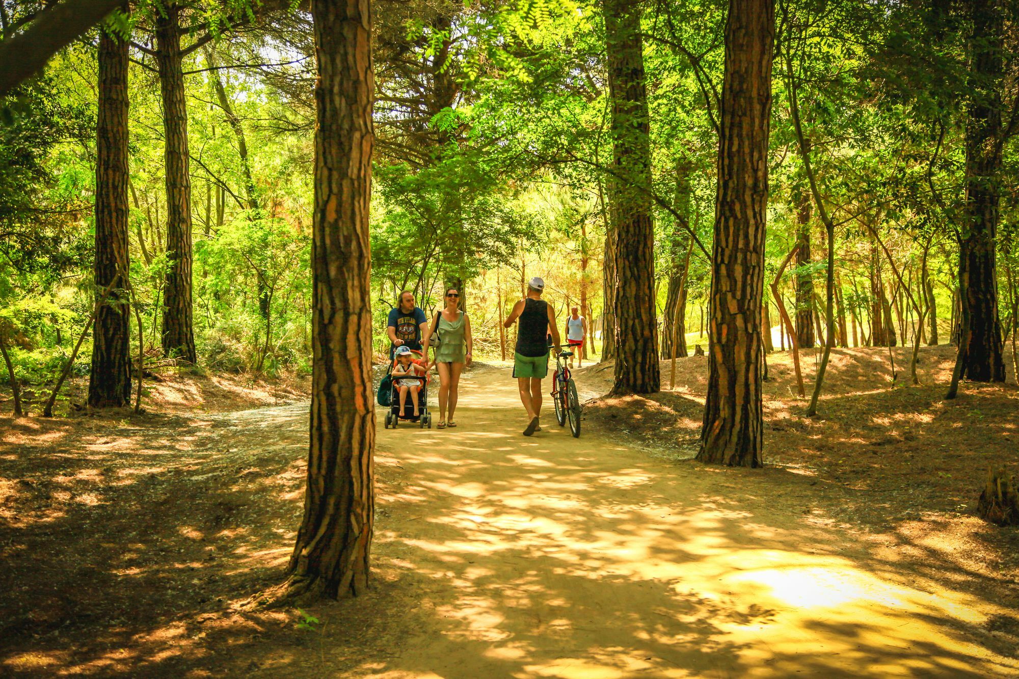 Camping Parco Capraro 利多迪迪耶索洛 外观 照片